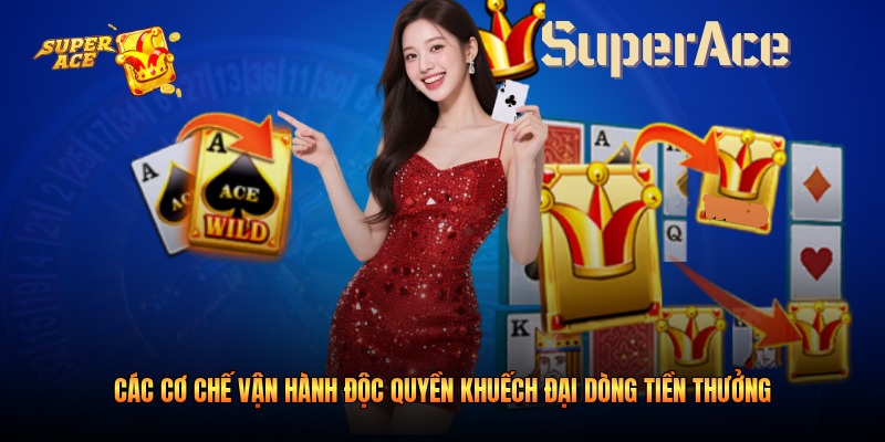 Các cơ chế vận hành độc quyền khuếch đại dòng tiền thưởng